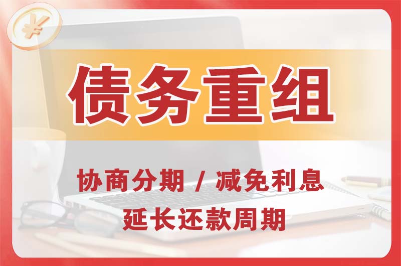 半汤债务重组