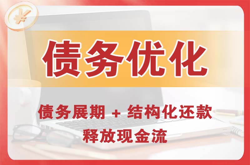 半汤债务优化