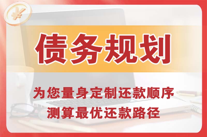 半汤债务规划